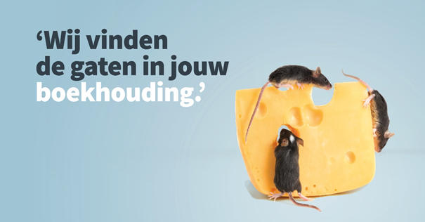 Een onbeduidend foutje vandaag kan later een fiks financieel probleem worden. Hoe groter je onderneming, hoe complexer je administratie en hoe groter de kans dat iemand een naaldje laat vallen. Gelukkig is geen hooiberg ons te groot. – Chris Maas, fin4finance.nl
