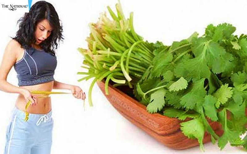 Cilantro embarazo