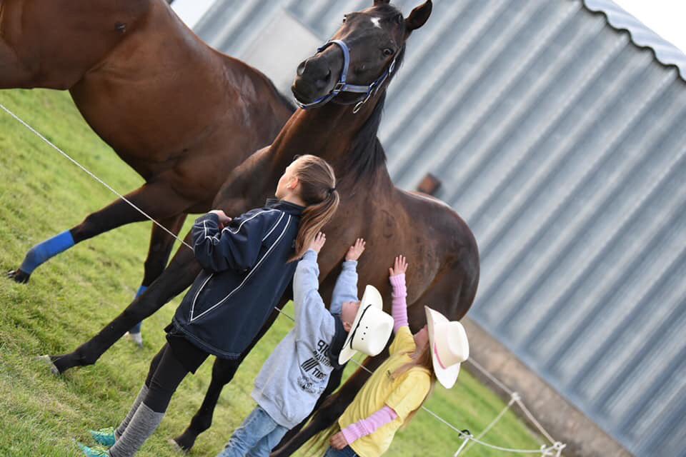 Wayne Knight Racing tweet media