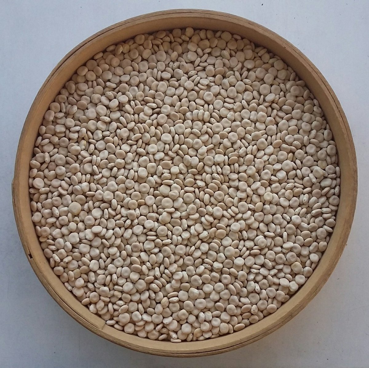 terrenainnov's tweet photo. #lupin : 5ème année d'évaluation des variétés inscrites et à venir en lupin d'hiver dans le cadre du projet #Proleval (valorisation animale des graines protéagineuses et oléagineuses). https://t.co/NBSRlJhL13