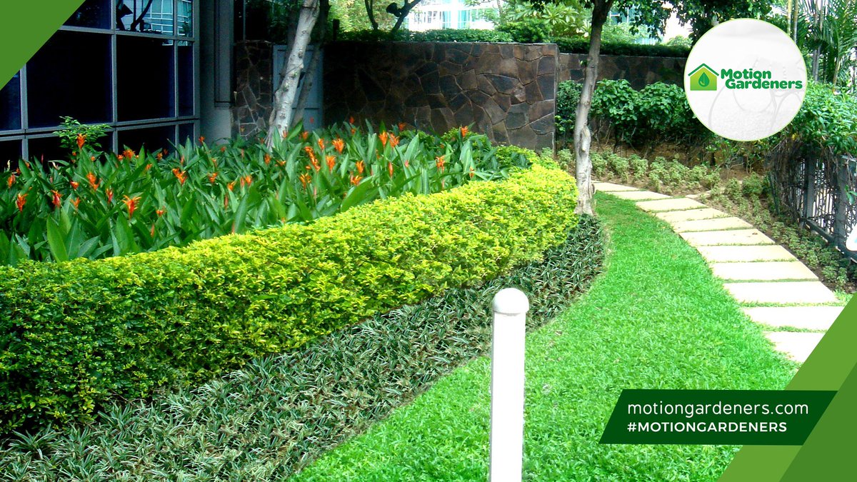 motiongardnrs's tweet photo. Itβs important to make sure that your landscaping is properly maintained in order to keep your business front attractive and appealing to customers. Get in touch https://t.co/v69lUcObbb #landscaping #gardening #installation #maintenance #softscaping #hardscaping #motiongardeners https://t.co/HQjWpkqpOg