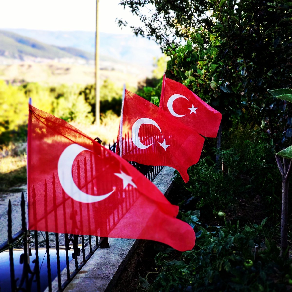 yitiksevdalar's tweet photo. Ne ararsan yıldızda var ayda var
Türk'e yine yalnız Türk'ten fayda var https://t.co/PgPpTyefWF