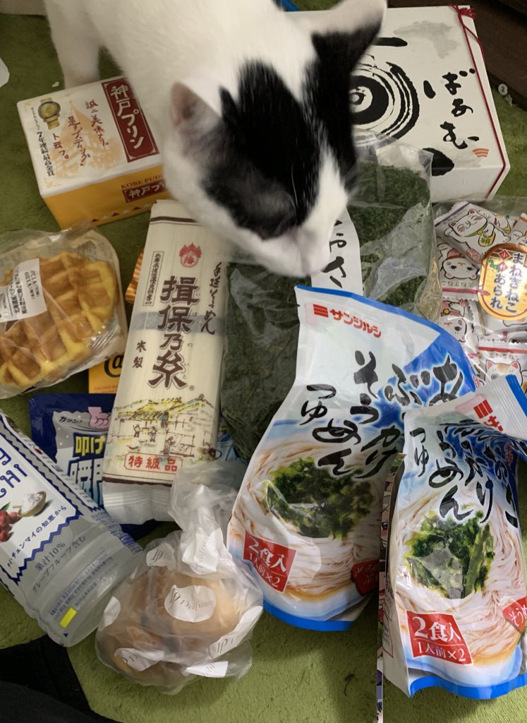 今回もたくさんの差し入れをいただきました！本当にありがとうございます！！だいちゃん（猫）もさっそくにおいを嗅いでおります！ 