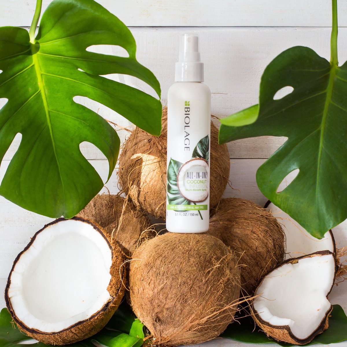 nextgenhair's tweet photo. Wat dit is? Check mijn Facebook of Instagram account,je wil dit!😍💚🥥 https://t.co/olMsURi0j7