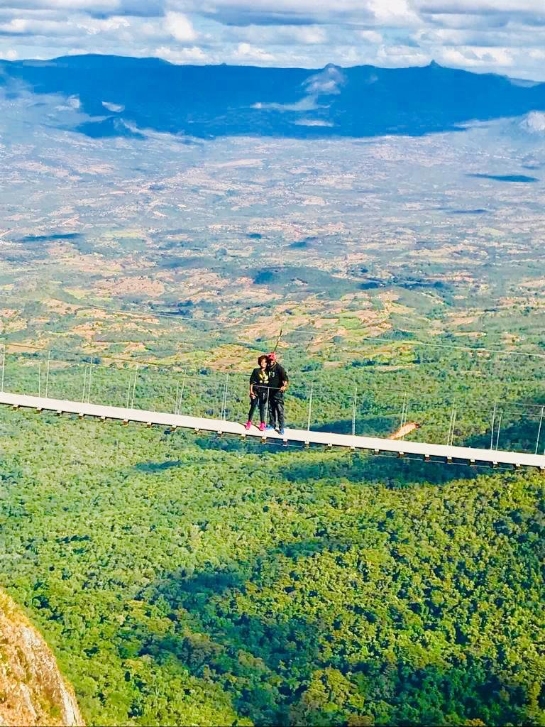 BlueSwallowZW tweet picture