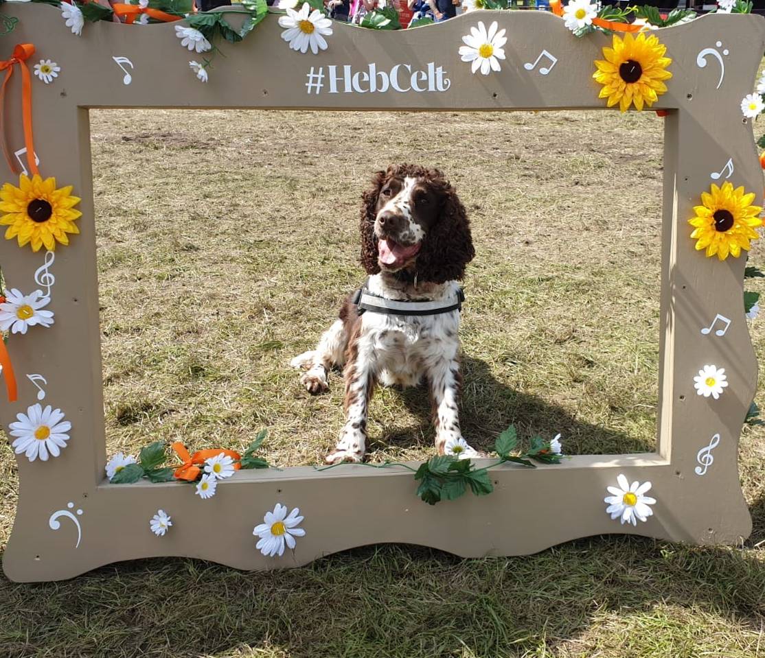 PSOSDogs's tweet photo. We need a little cheering up today after our Dog Training Centre flooded during the nightπ. Here's #PDCorrie bringing out the sunshine and flowers for us.
#HebCeltFestival
#Stornoway
#GoAwayRainItsSummer π https://t.co/bSNXQLvMXh