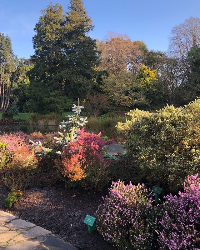 CHCAttractions's tweet photo. Escape the busy inner city and sneak into the Christchurch Botanic Gardens for some peace and quite! 🌲

#christchurchbotanicgardens #botanicgardenstour #myiconicchch #christchurchnz #christchurchattractions #explorechristchurch #christchurch #nzmustdo #purenz #nzgardens https://t.co/CG2UbOaKSN