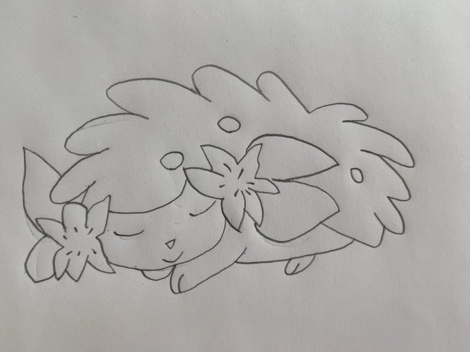 シェイミのtwitterイラスト検索結果 古い順 シェイミのtwitterイラスト検索結果 古い順