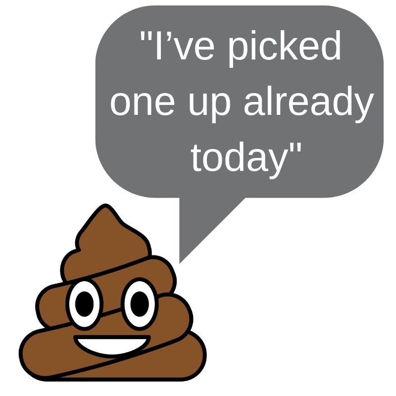 TelfordWrekin's tweet photo. Genuine excuse 5/5 from an irresponsible dog owner. No excuse for not picking up. If you see it, please report it: https://t.co/0I29ThMpLg  #poopandscoop #scoopthepoop #dogowners #pickupthatpoop https://t.co/GQEXTBr8IG
