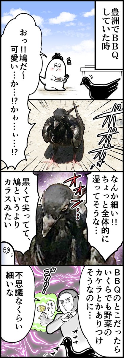 暗黒のハト 