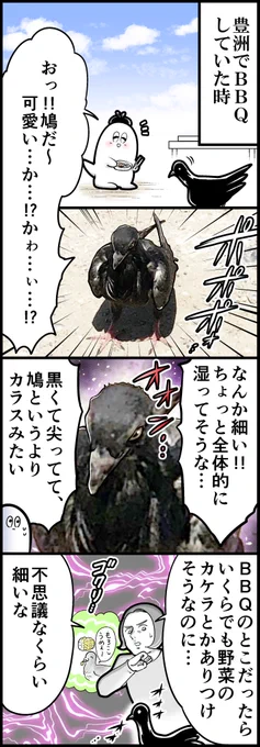 暗黒のハト 