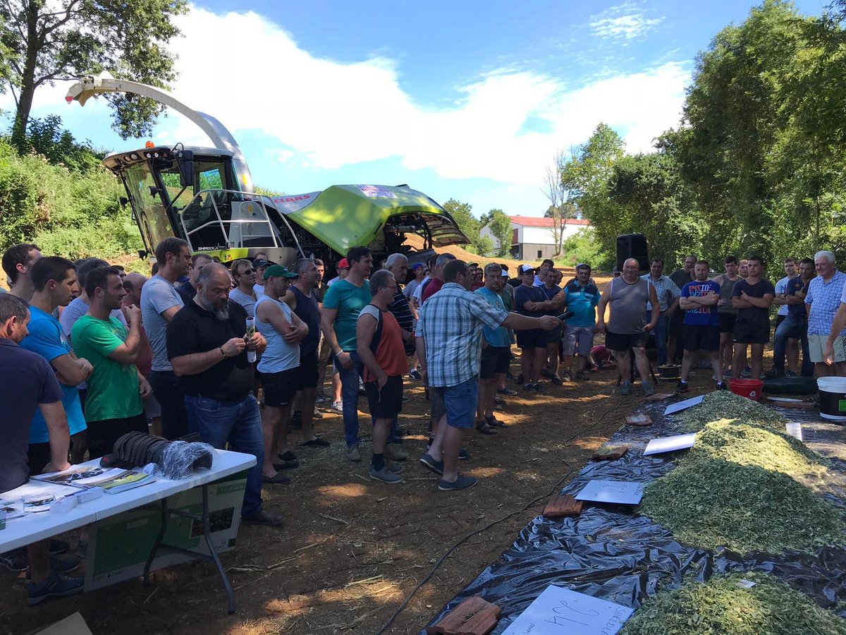 CLAASFrance's tweet photo. Alors que les #moissons se terminent, les premiers #ensilages pointent le bout de leur nez. 
Un très bel exemple ici ac la #présentation et la mise en route de la 1ère #JAGUAR 900 du Pays Basque équipée de l’#éclateur #CLAAS #MCC #SHREDLAGE 🌽🔝🐄
#CLAASPower #HarvestingTheFuture https://t.co/Jw25Ew2TBz