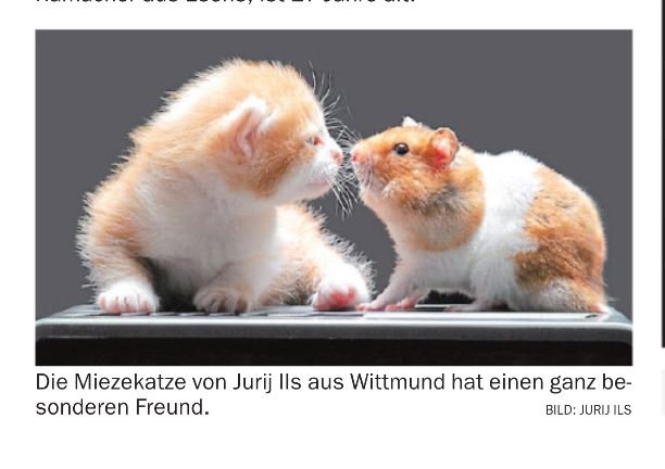 Jurij_Ils's tweet photo. Im @Jugendwerk1 @Wittmund ist ein herzliches Miteinander Alltag

Heute in der Zeitung @Harlinger1862 https://t.co/hV7qH8LrOF