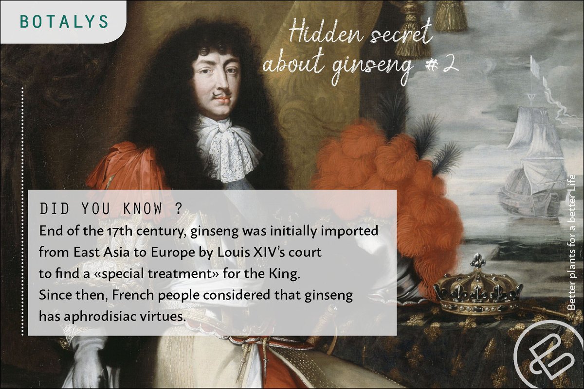 Hidden secret about ginseng #2
#ginseng #naturalingredients #botanicals #herbs #herbalmedicine