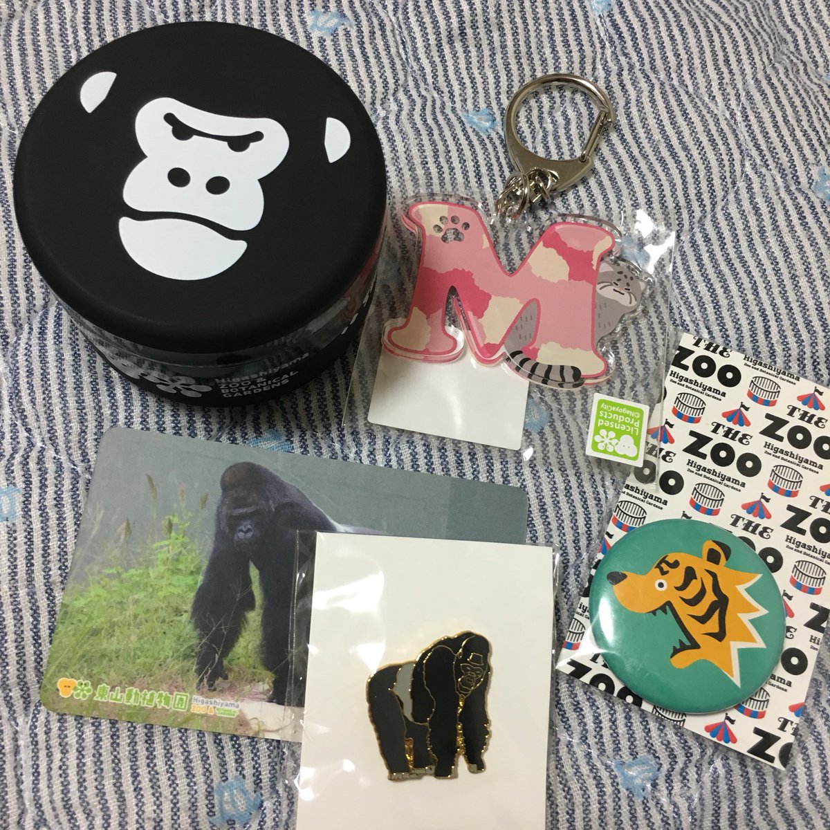 東山動物園、自分へのおみやげ。 イニシャルのMがマヌルネコで両面顔