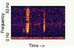 I mention this because in 1997, the famous Bloop sound was recorded at almost the exact same coordinates (50° S 100° W). The sound resembled that of a living creature, but the source was a mystery because it would be far more powerful than the calls made by any animal on Earth.