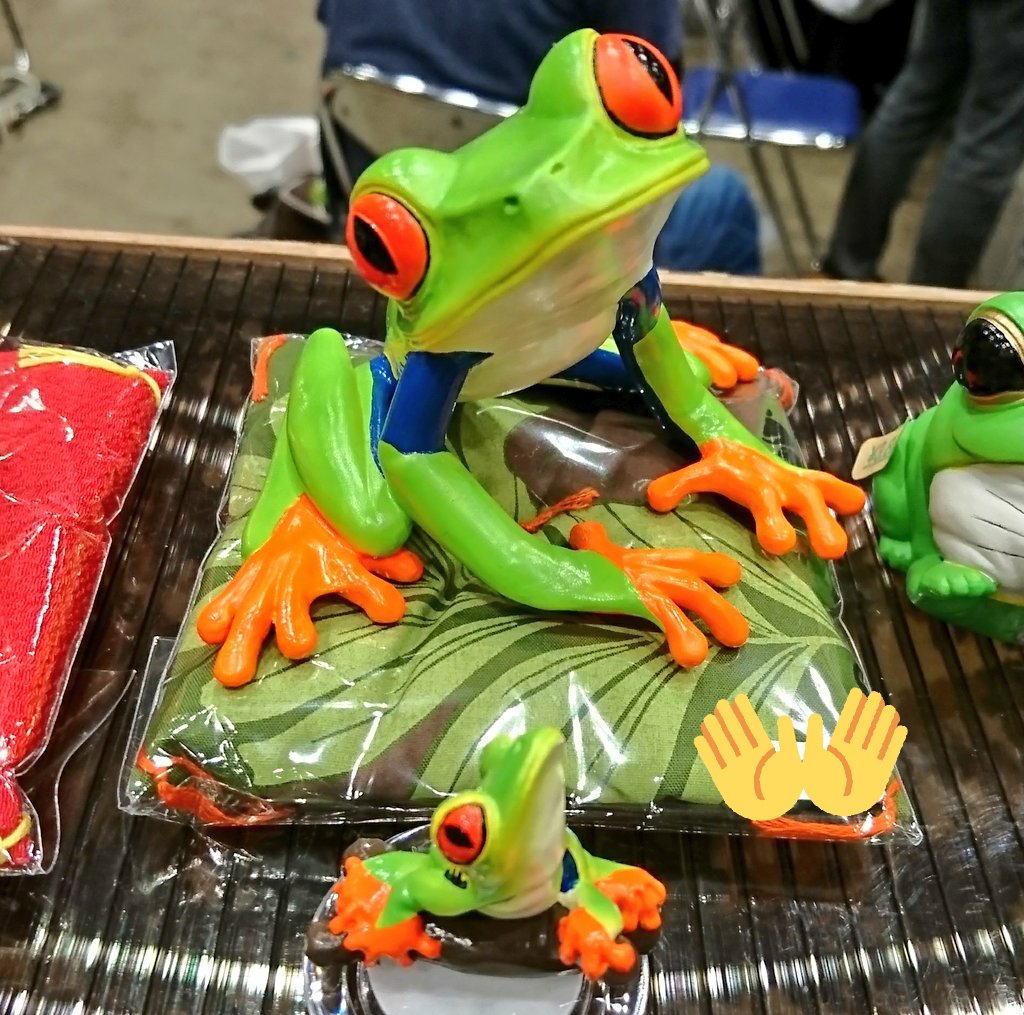 あるごん Argon 正面顔すごく可愛いです 猫に通ずるしなやかな佇まいも素敵です