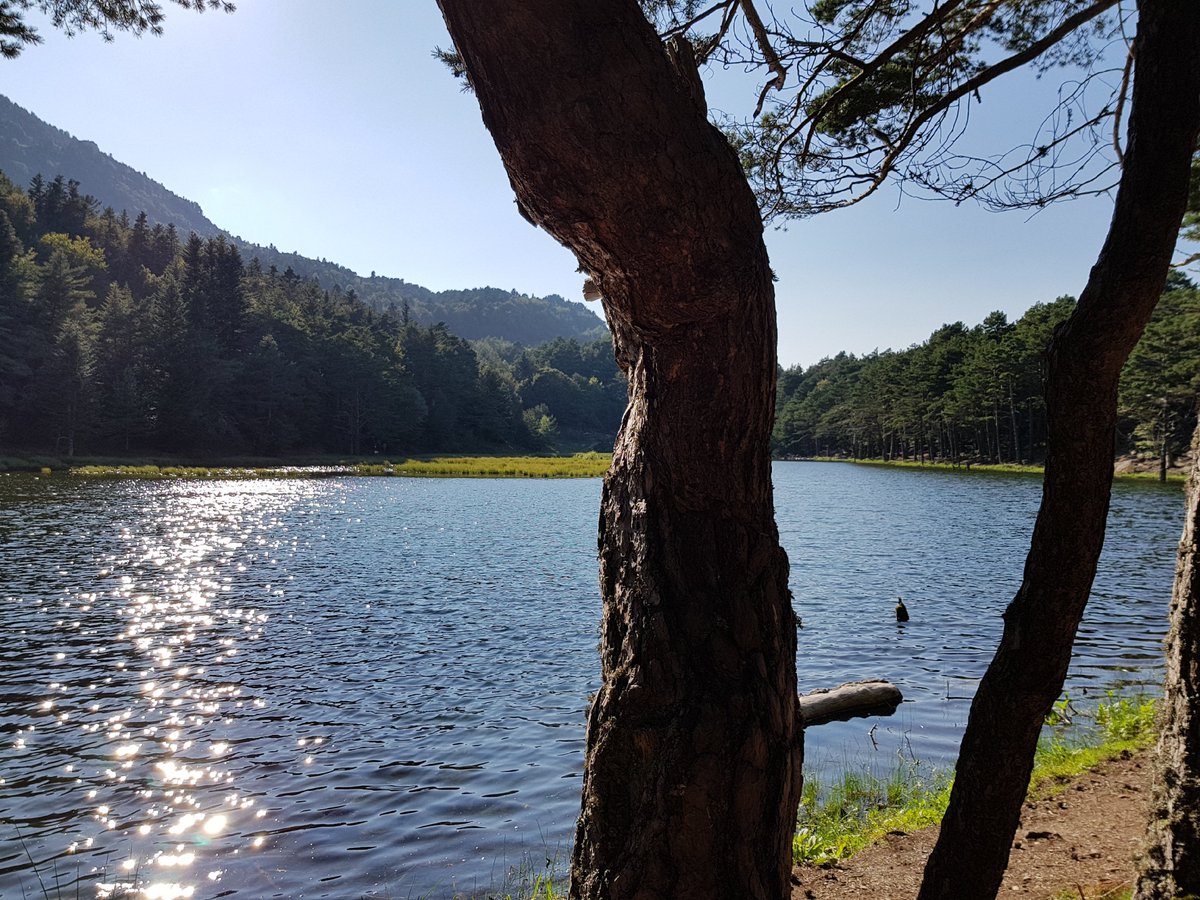TOTIARAN's tweet photo. Vas con los niños y no les gusta andar demasiado, sin problema porque  en la @Val_dAran tenemos un montón de rincones preciosos a descubrir y de fácil acceso, pregúntanos y te aconsejamos 😉#TotiAran la clau d'un bon servei #TotiAranRental 
Fotos desde la #BassadOles https://t.co/zEj7ZO8oVp
