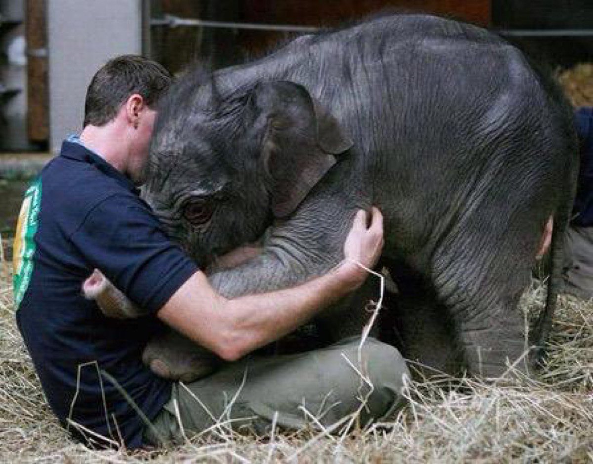 ramblingsloa's tweet photo. A silent hug means a thousand words to an unhappy heart. https://t.co/MRfckRLo5S