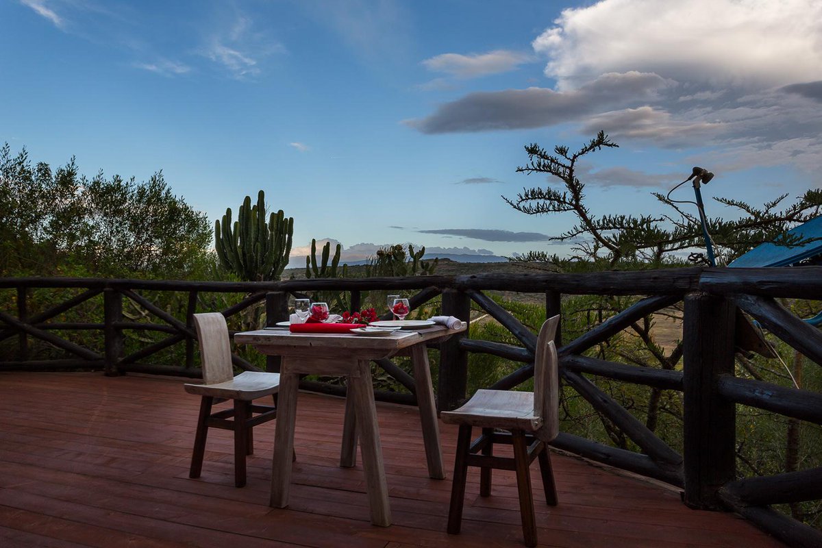 JamboMagazine's tweet photo. Sometimes all you need is some good environment and some quiet time. 
You can get all this at Kika Lodge. https://t.co/7RJvKUl1P8