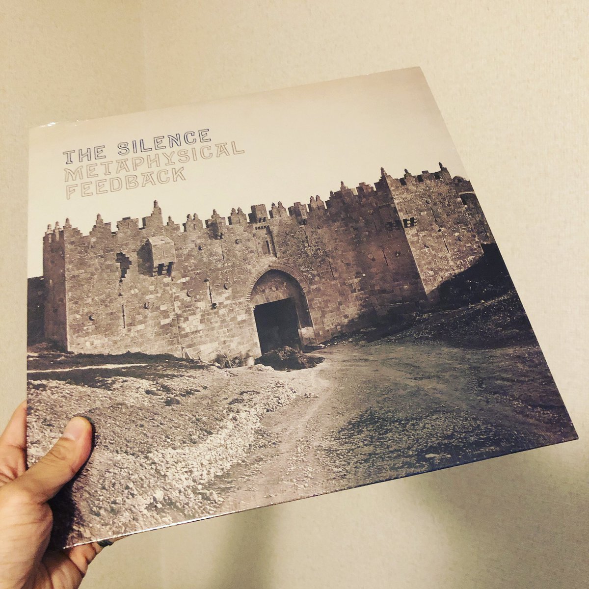 人生初のアナログ作品がThe Silenceで、岡野太さんとのアンサンブルである事を誇りに思います。

#thesilence 
#dragcity