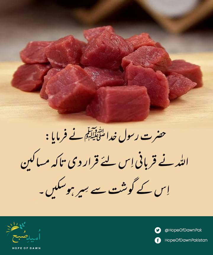 M_Hasan110's tweet photo. #ShareTheMeat 🙂 https://t.co/UPUFd5Fxz6