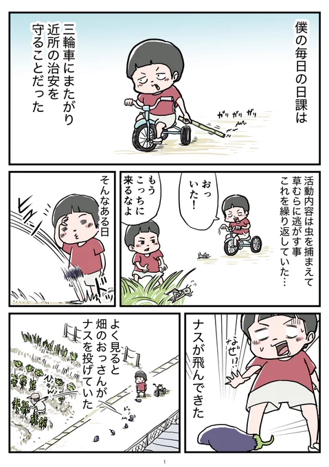 「ナス」の思い出① 
