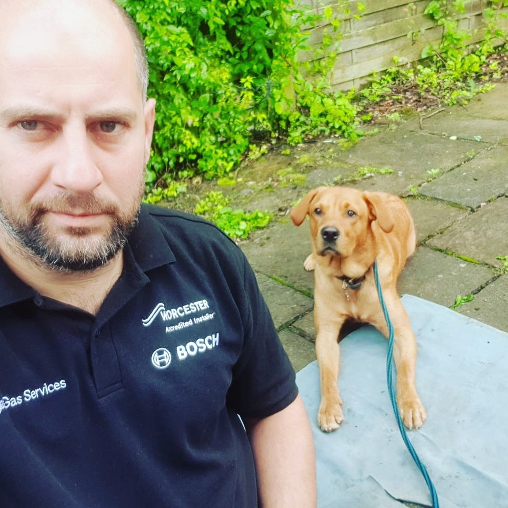 buglass_gas's tweet photo. Got a wee helper out with us today
@buglass_gas @HeatingYourHome #foxredlabrador #worcesterbosch https://t.co/K1ZwRijmXW