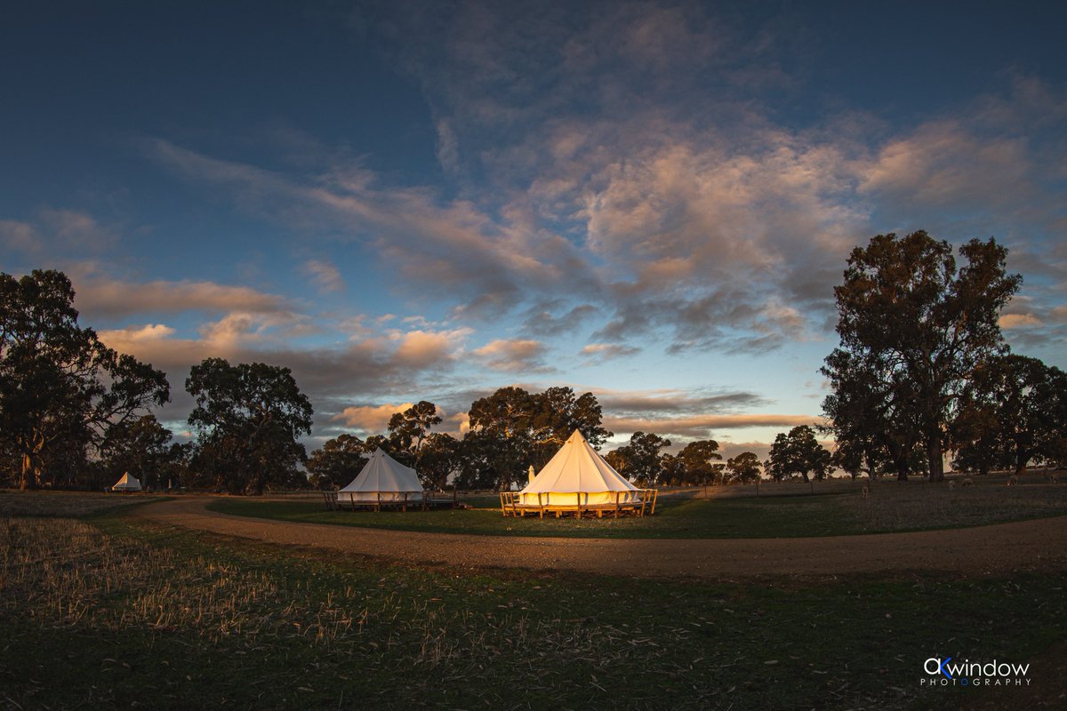 akwindowphoto's tweet photo. I loved the way the light fell on our tent at Bellwether! This is a great place to visit with awesome food, wine and glamping experience. 

#coonawarra #bellwether #limestonecoast @bellwether https://t.co/BFbMwFcBLQ