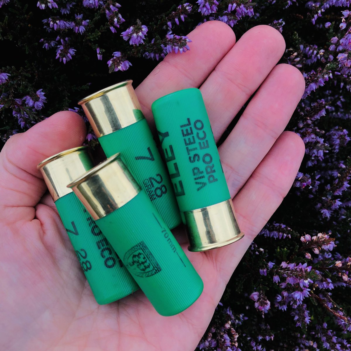 ELEY HAWK Ltd. tweet media