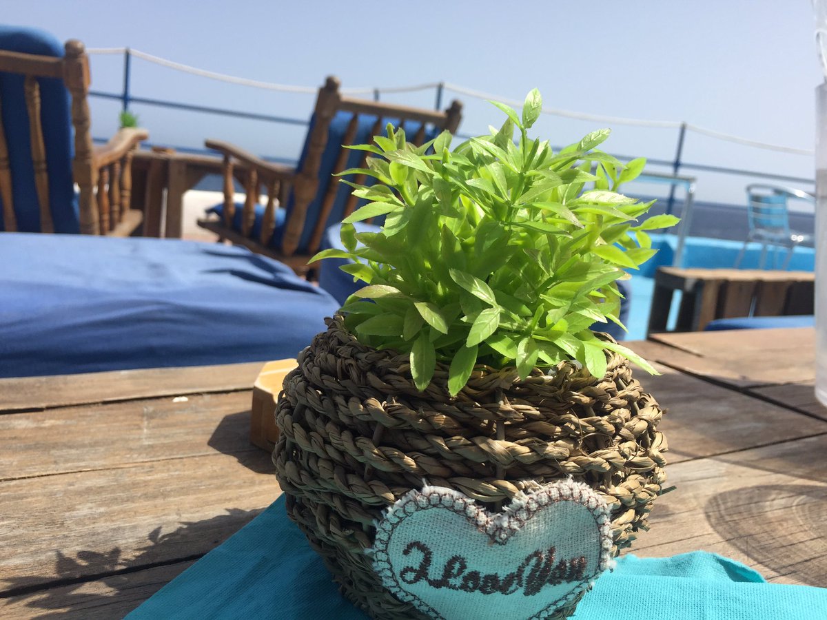 lorepl80's tweet image. Mi vida en un paraíso