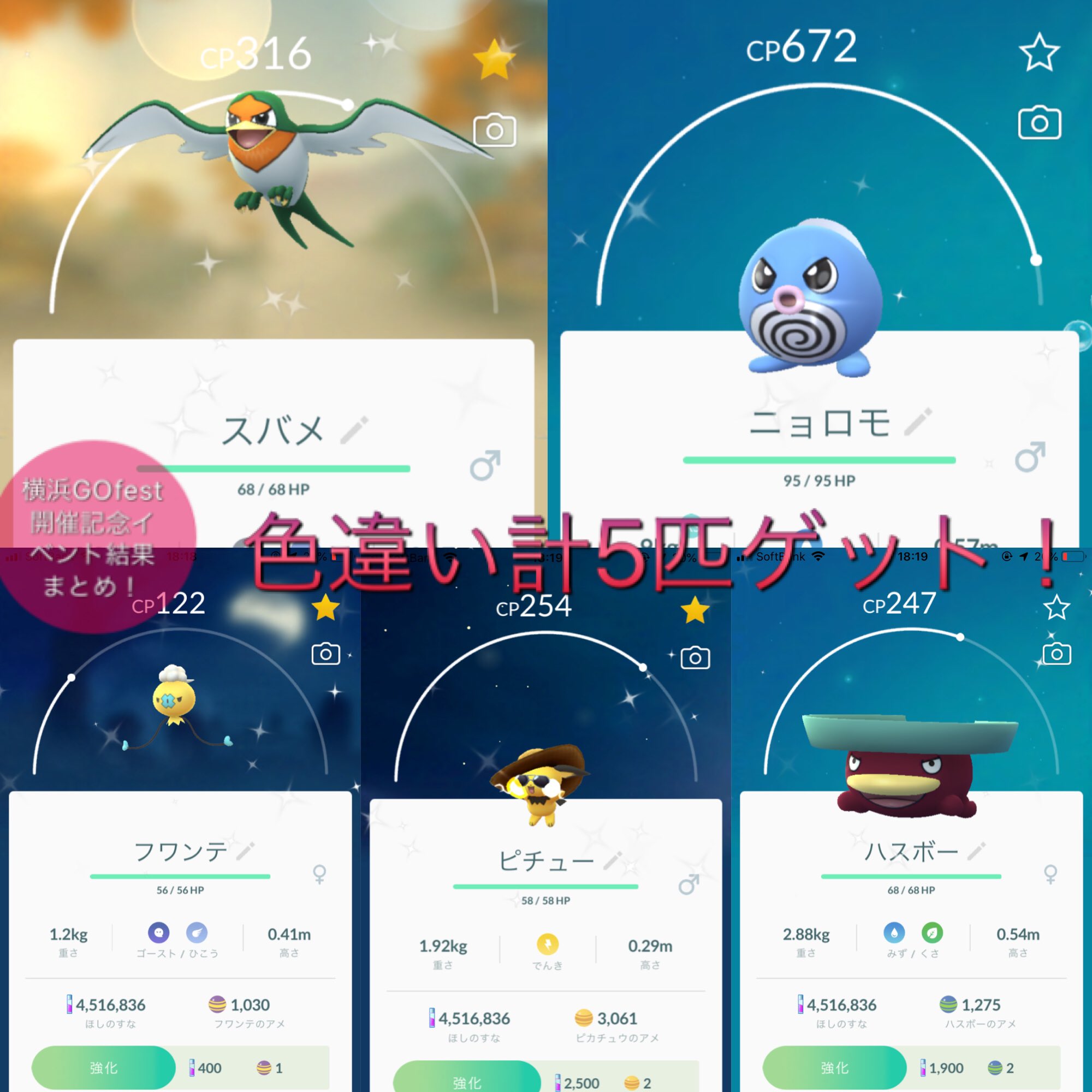 Yusuke Game Sur Twitter ポケモンgo 横浜gofest開催記念イベント結果 色違い計5匹ゲット ハスボー以外初ゲット 個体値はタマゴから生まれたアローラベトベターが個体値100 ちなみに残念ながらムックルの高個体はゲット出来ませんでした 笑