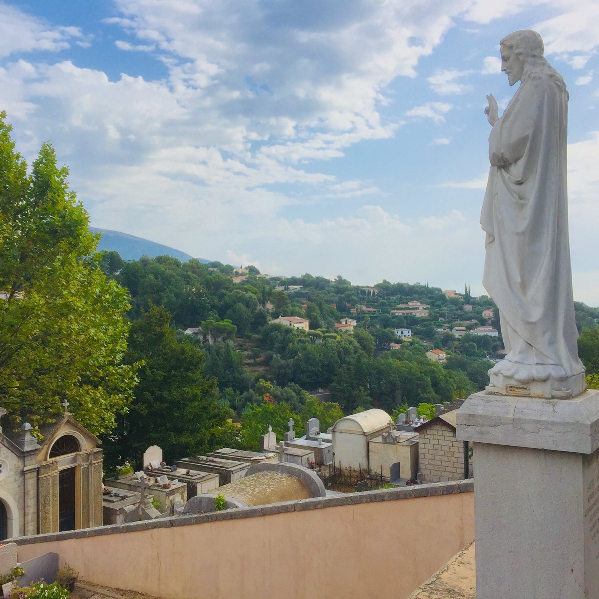 Morgan Buchanan tweet media