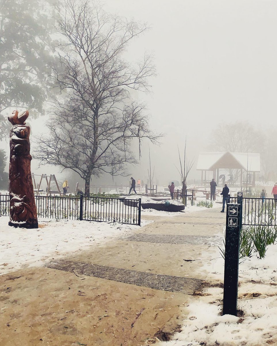 ladylindamac's tweet photo. @ActuargyKFarag @DA_Mercer @Fuzzyleeza @oldandfullofpie @polly_63 This was our local playground yesterday- keeping in mind it doesn’t snow here! ⛄️ https://t.co/zLavNlCuSa