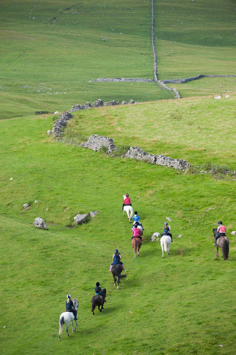 Dales_Tourism's tweet photo. See the #YorkshireDales from a different perspective - on horseback https://t.co/ScEFcxImbQ
#Horses 
Image: Paul Harris https://t.co/Gx5yChQ20K