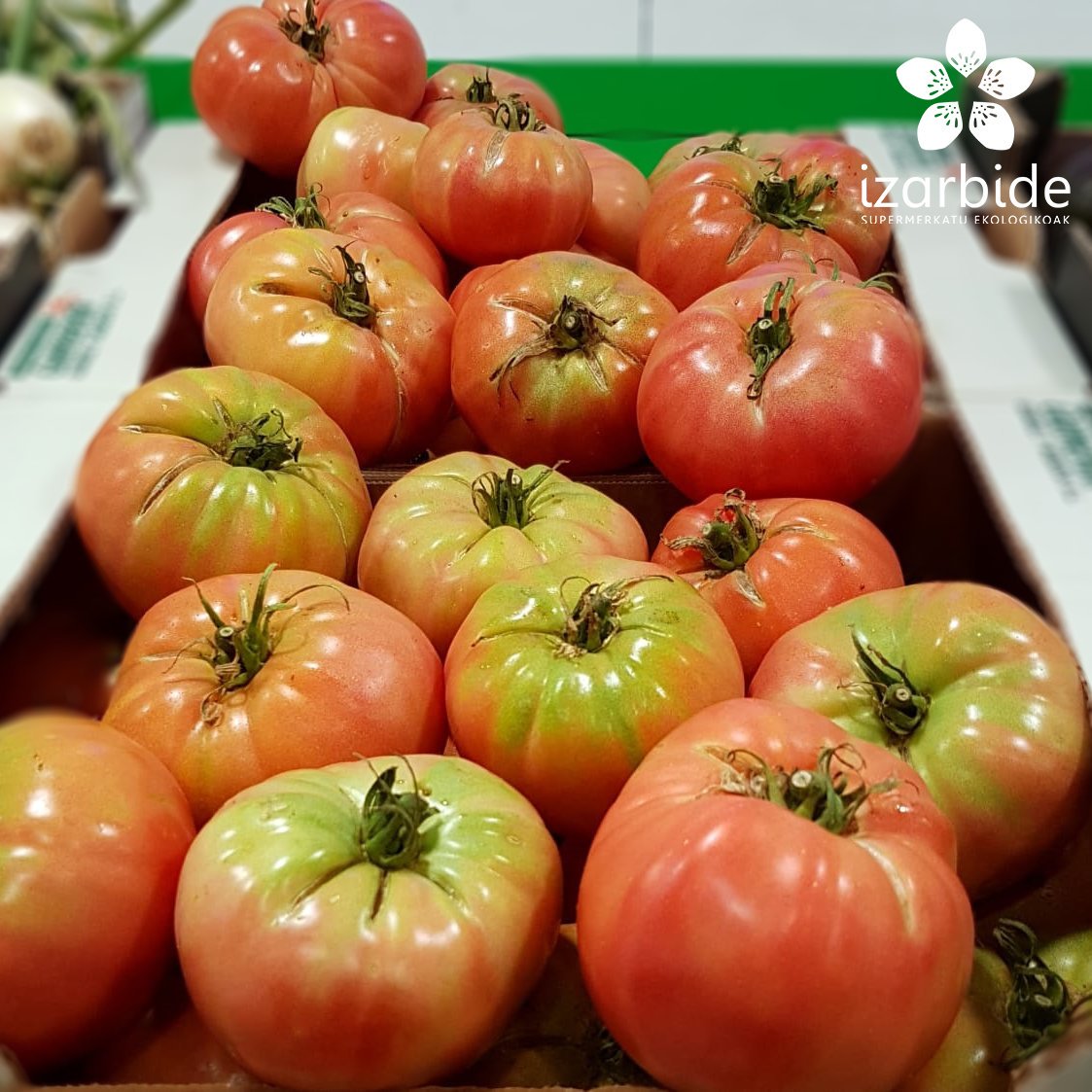 izar_bide's tweet photo. Estas son las ofertas en la frutería de tu súper #ecológico #Izarbide esta semana:⁣⁣

*#Tomate Udagorri⁣ 🍅Udagorri #Tomatea⁣
*#Pera Ercolini⁣ 🍐Ercolini #Udarea

Hona hemen aste honetarako Izarbideko frutategiko eskaintzak
⁣⁣
#ekologikoa #oferta #compraecológica #Euskadi https://t.co/0bMgd46uBB
