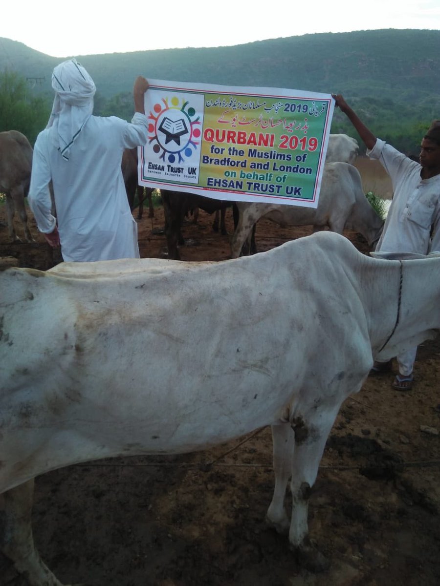 ehsantrustuk's tweet photo. QURBANI 2019

Jazak Allah khair to everyone who donated towards our Qurbani appeal. May Allah reward you all!

#EidMubarak #Hajj #EidAlAdha https://t.co/4jMu0caMLA
