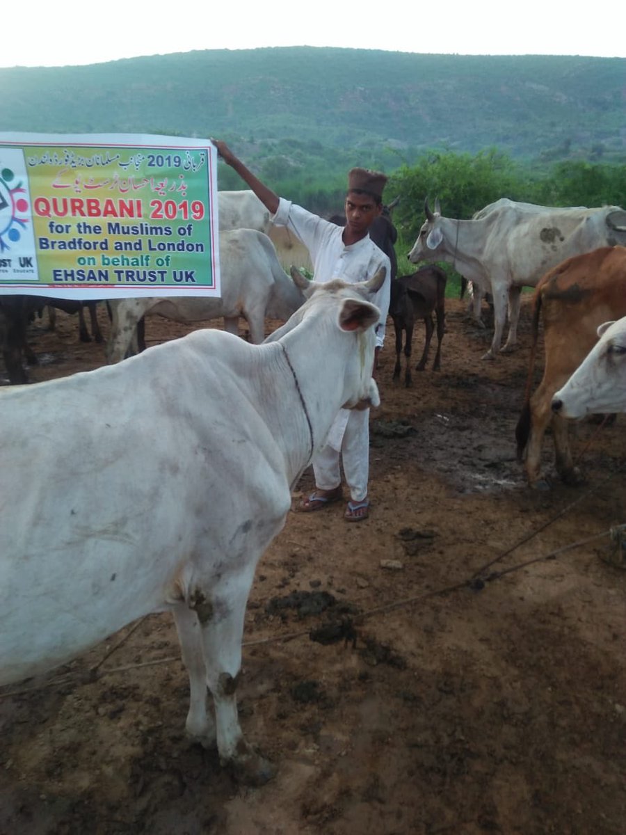 ehsantrustuk's tweet photo. QURBANI 2019

Jazak Allah khair to everyone who donated towards our Qurbani appeal. May Allah reward you all!

#EidMubarak #Hajj #EidAlAdha https://t.co/4jMu0caMLA