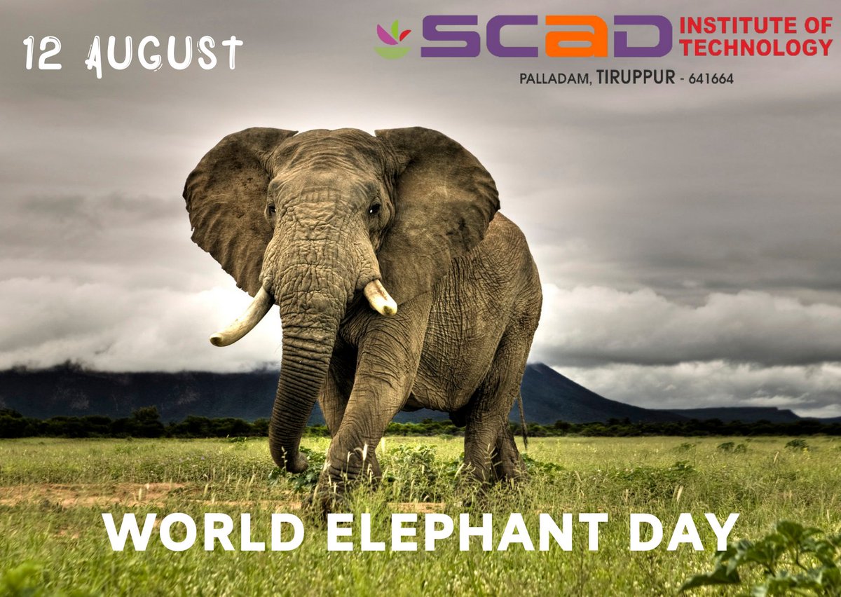 scad_tech's tweet photo. #WorldElephantDay #ElephantDay
#SCADIT #AssuredPlacement #ApplicationOrientedLearning #IndustryReadyEngineers #ProductBasedSkillTraining #IndustryInstituteInteraction
#Coimbatore https://t.co/Vv6bUMElpV