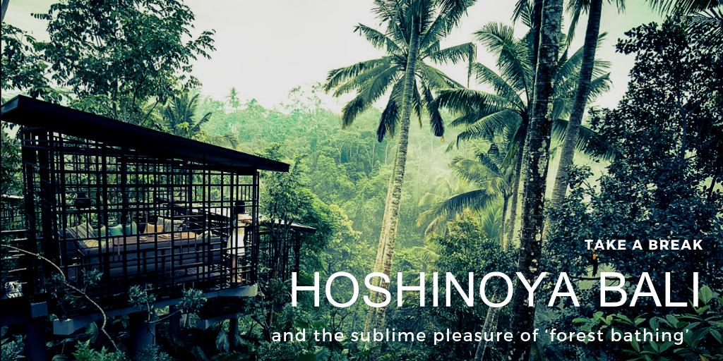 GDCinteriors's tweet photo. Break the mould and do something different! Why stay in another Western resort when you can stay in one of the best that Japan has to offer? Let us introduce you to #Hoshinoya #Bali and the concept of ‘forest bathing’ https://t.co/SJnrd67yNm @Hoshino_Resorts #PerfectGetaway https://t.co/6yuOBAAhs8