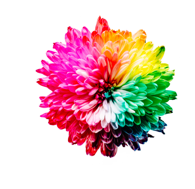 UPSStore2383's tweet image. It's Monday, and it is an awesome start to the week! Come see us for 15% off all color copies. 
.
.
.
#colorcopies #printerinjax #printingcoupon #duval #mondaymotivation #entrepreneurs #smallbizheroes