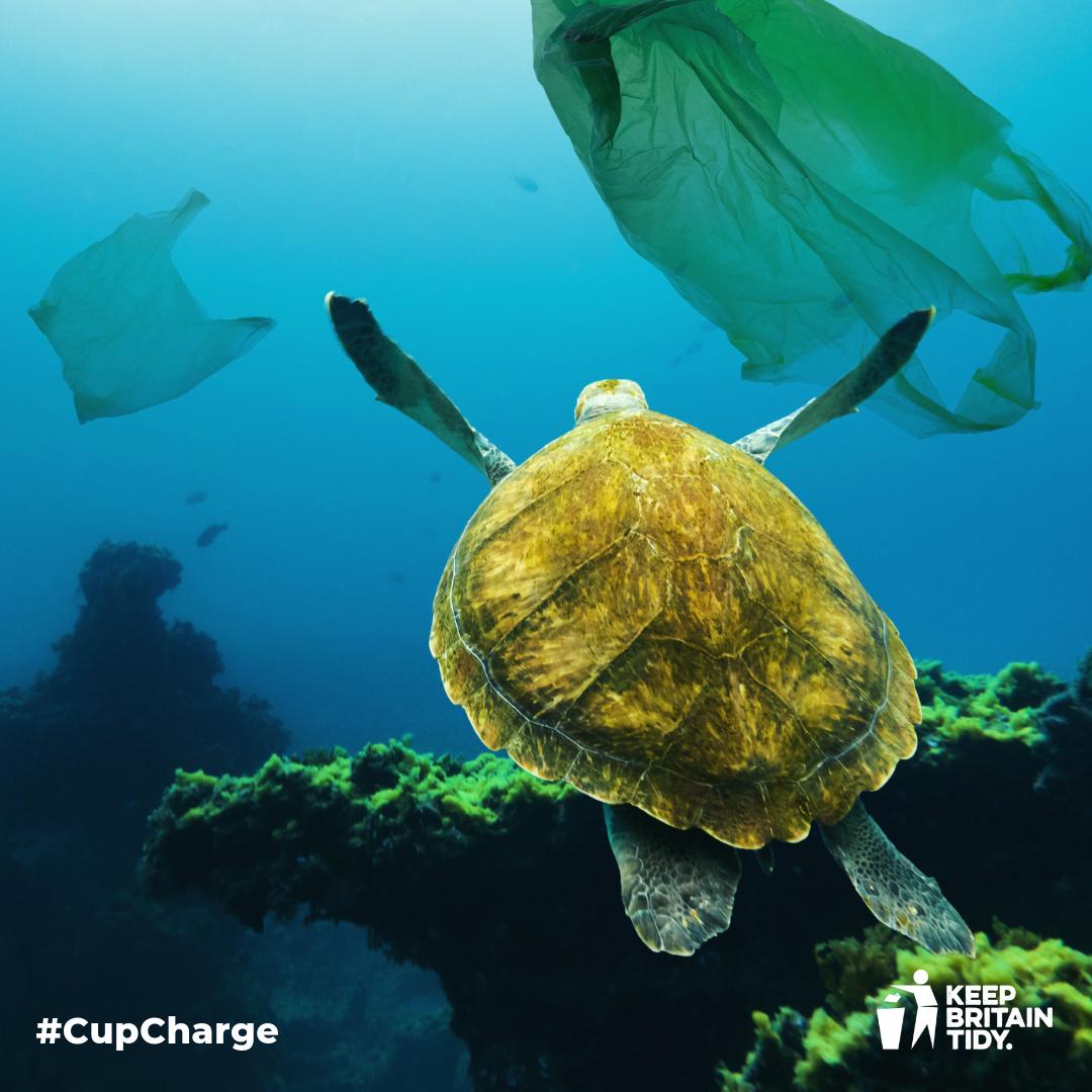 1LifePlanetYou's tweet photo. #RT @oceans8brighton: RT @KeepBritainTidy: Drowning in plastic 🚯🌊 90% fewer single-use plastic carrier bags used since we campaigned for the #BagCharge.
Now evidence suggests a 25p #CupCharge could reduce #singleuse cup use by 74% & encourage peop… https://t.co/R1rX9J3AAF