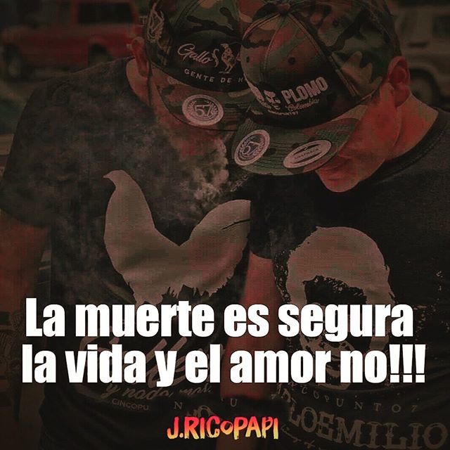 JimRicopapi's tweet photo. https://t.co/lC5N4lXZcS https://t.co/YhfahcPE3H