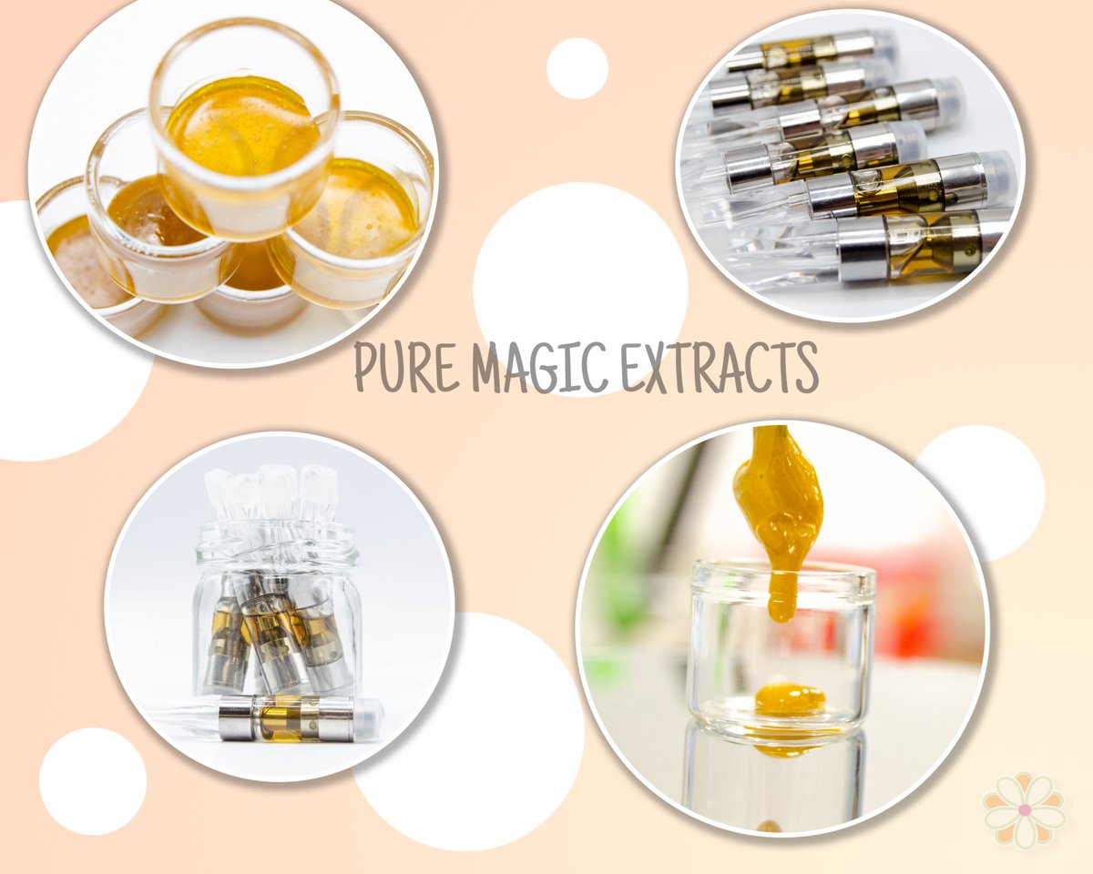 PureMagicGroup's tweet photo. We’re All About The Concentrates! We offer a wide range of cannabis extracts including BHO wax & oils, live resin, shatter, terps & diamonds, as well as clear distillate that we use for our half & full gram vape cartridges. #puremagicextracts #gotmagic #tastethemagic #processor https://t.co/QpyvymjeSN