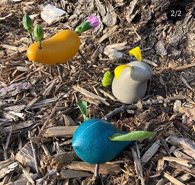 Maak je eigen dieren met bloemen, planten, stokjes! Locomo credu.nl/product/locomo…