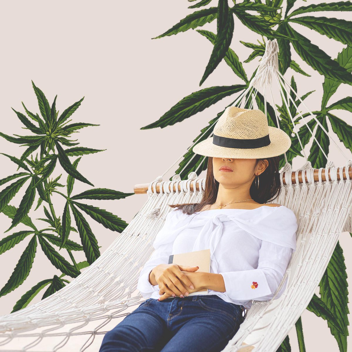 HealthyonHemp's tweet photo. If only Monday afternoon naps were a thing... https://t.co/kUvSeF7XGz