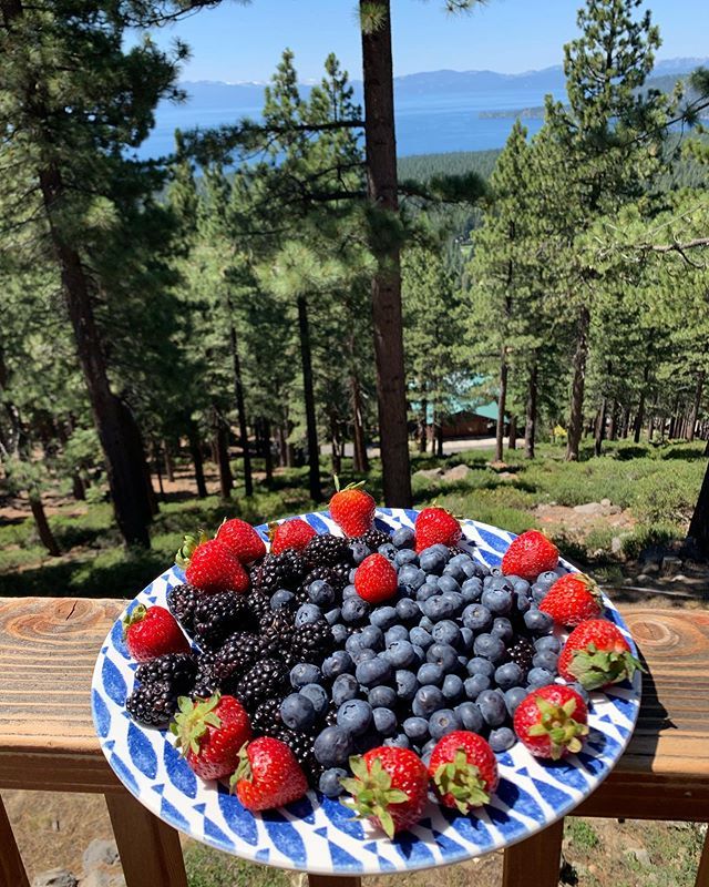 WECOTek's tweet image. Bluetiful! .
.
#wecotek #sortingissexy #berrytek #opticalsorting #berrysorting #blueberries #agtech #agriculturaltechnology ift.tt/2N11Kcr