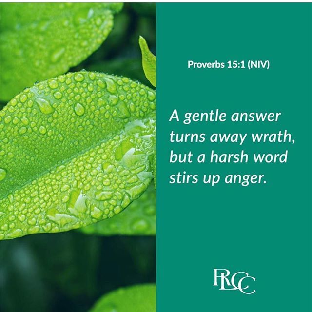 RLCCNanuet's tweet photo. #VOTD A gentle answer turns away wrath, but a harsh word stirs up anger. ~Proverbs 15:1 (NIV)
.
.
.
#RLCCNanuet #RLCCPoconos #GodisLove #GodLovesYou #Faith #FaithinGod #PraiseGod #JesusisLord #WordofGod #PowerofGod #Salvation #JesusSaves #RedeemingLoveC… https://t.co/RB5eIqaie5 https://t.co/puZtXFkxzh