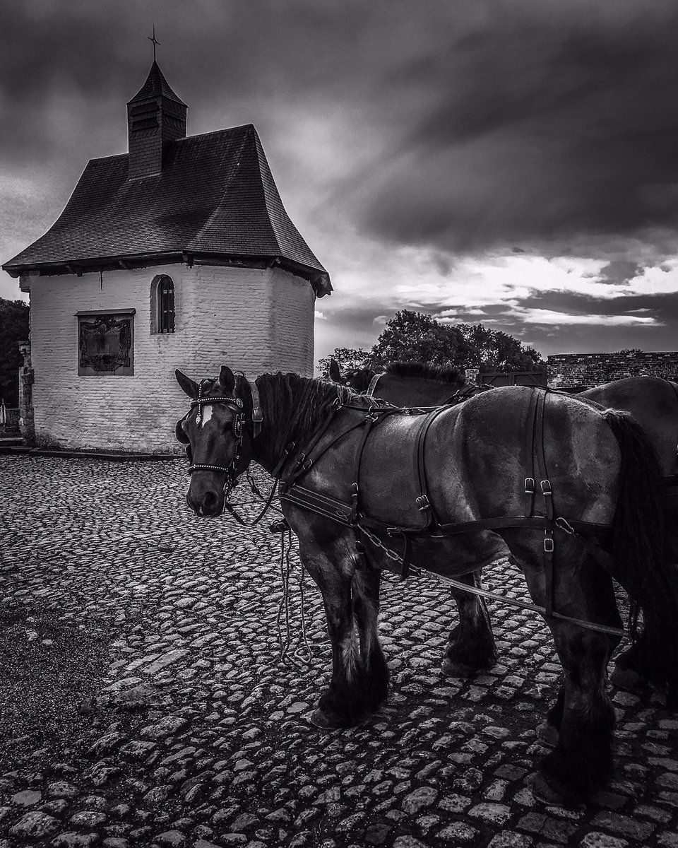 gmoroder's tweet image. Just arrived at @LandmarkTrust #Hougoumont - looking forward to a great 5 days soaking up the atmosphere of Waterloo