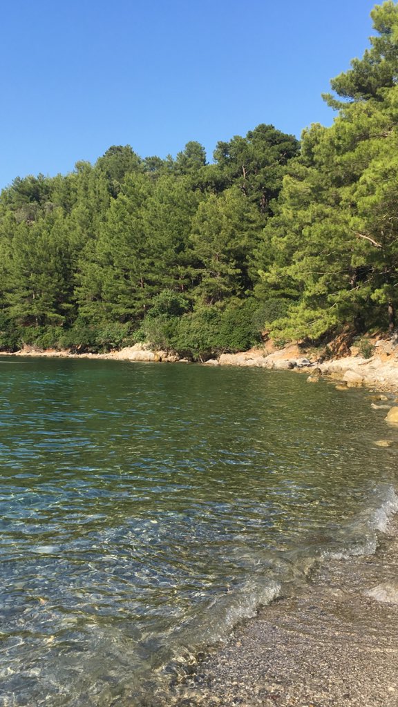 nihan_s's tweet photo. Mutluluk hayatın içinde, kalbimizi kocaman hissettiren küçük anlardı... https://t.co/VQNjoQpMIv